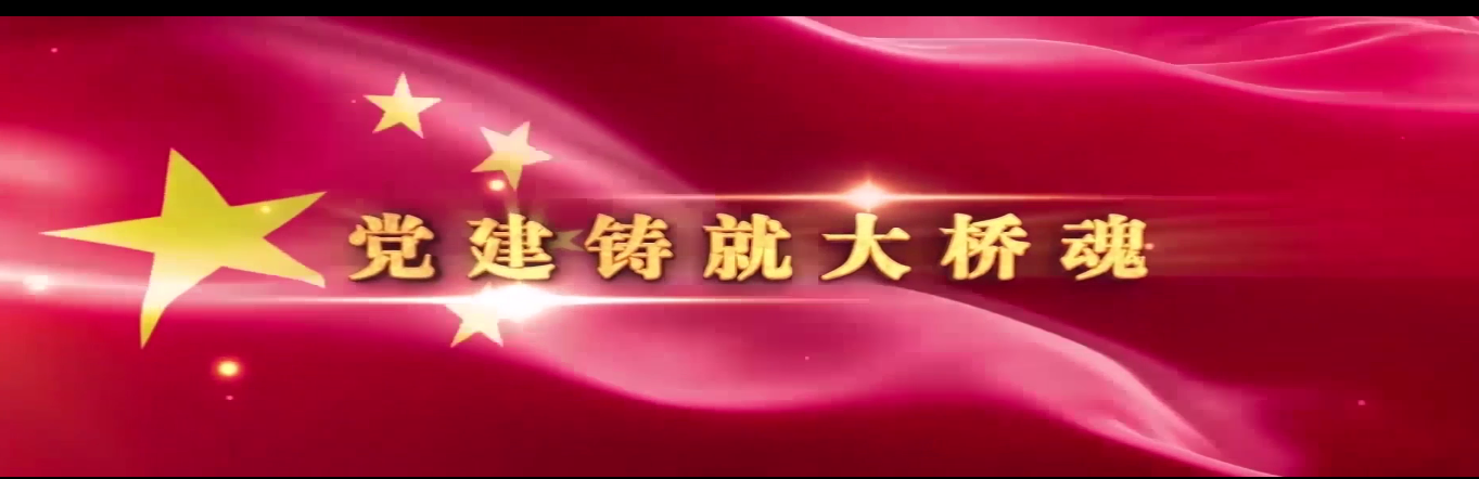 开云综合体育网站党建文化宣传片
